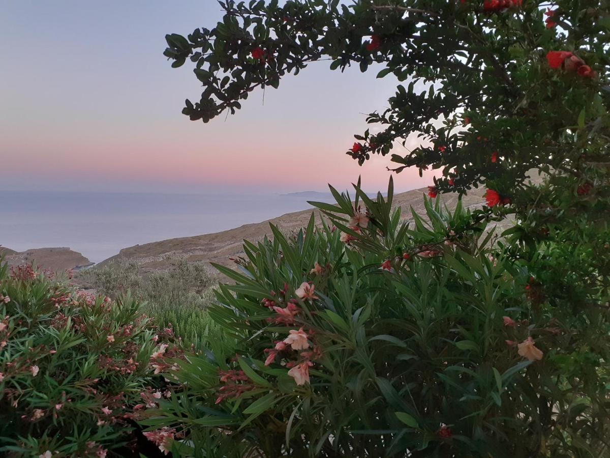 Katoikia Spathi Spathi  Exteriér fotografie