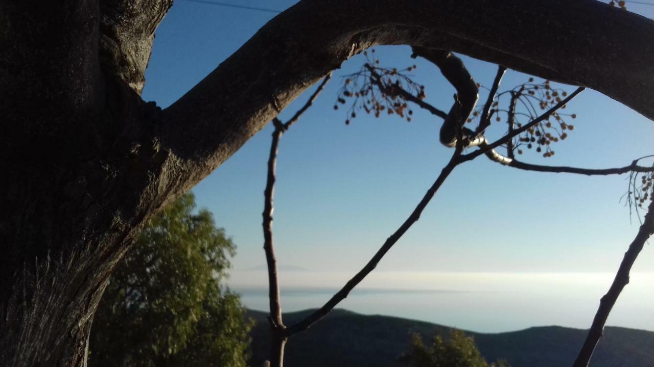Katoikia Spathi Spathi  Exteriér fotografie